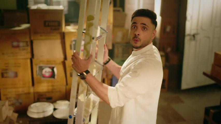 Mannat looking worried and Vikrant holding the ladder